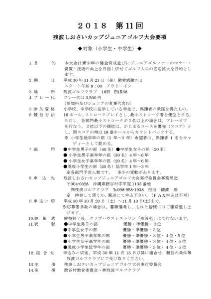 2018 第 11回要項.のサムネイル